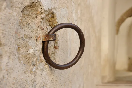 ring.jpg